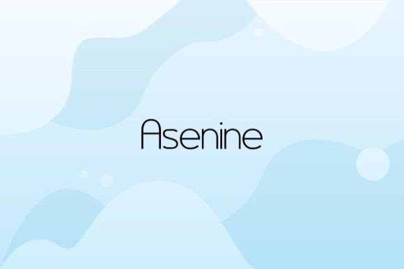 Asenine: A Warm Sans Serif Typeface for Editorial Design