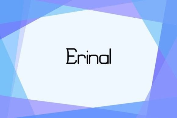 Erinal Font Review: A Calm Sans Serif for Editorial Design