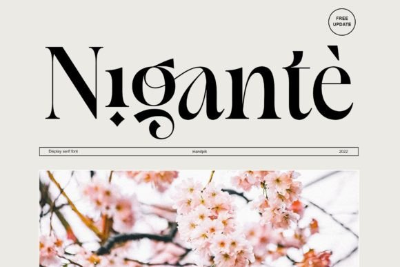 Nigante: A Serif Font for Impactful Campaigns