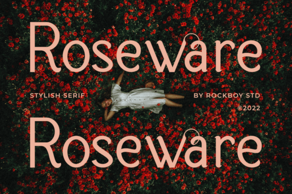 Roseware: A Modern Sans Serif Review