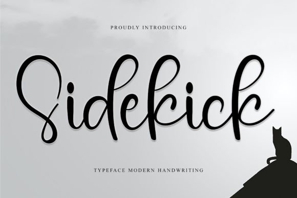 Sidekick: The Script Font That Stops the Scroll