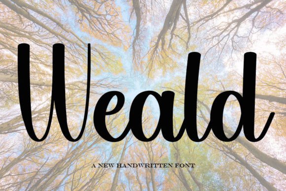 Weald Font Review: Elevating Small Business Branding